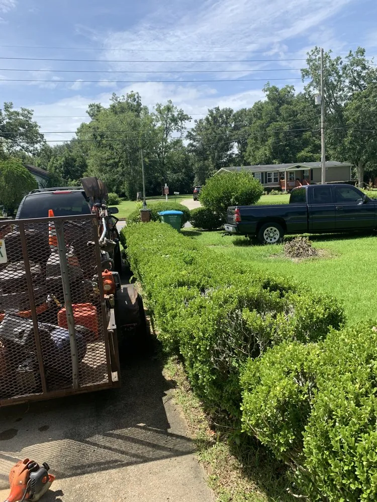 Professional garden landscaping near you in Gretna, FL by BigDracoo