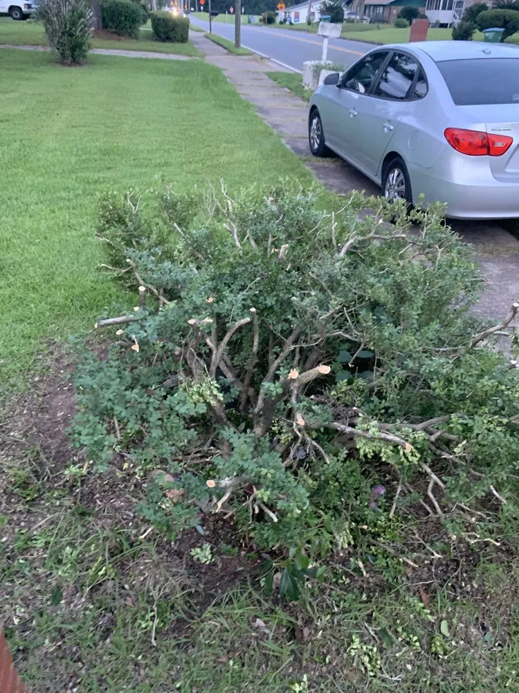 Expert landscaping services in Gretna, FL - BigDracoo