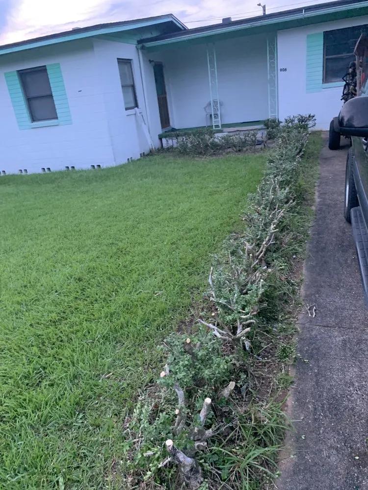 Professional outdoor landscaping in Gretna, FL - BigDracoo