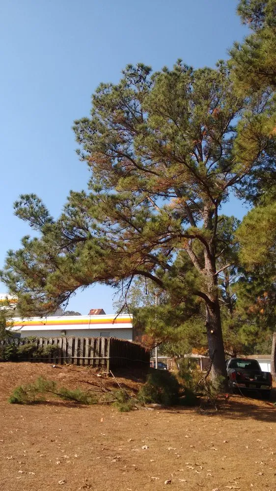 Custom landscape installation in Enterprise, AL - Bigelow's Tree Service