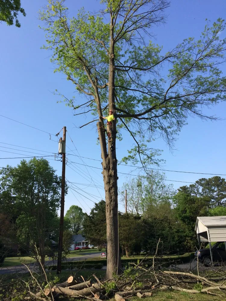 Affordable landscaping services in Enterprise, AL - Bigelow's Tree Service