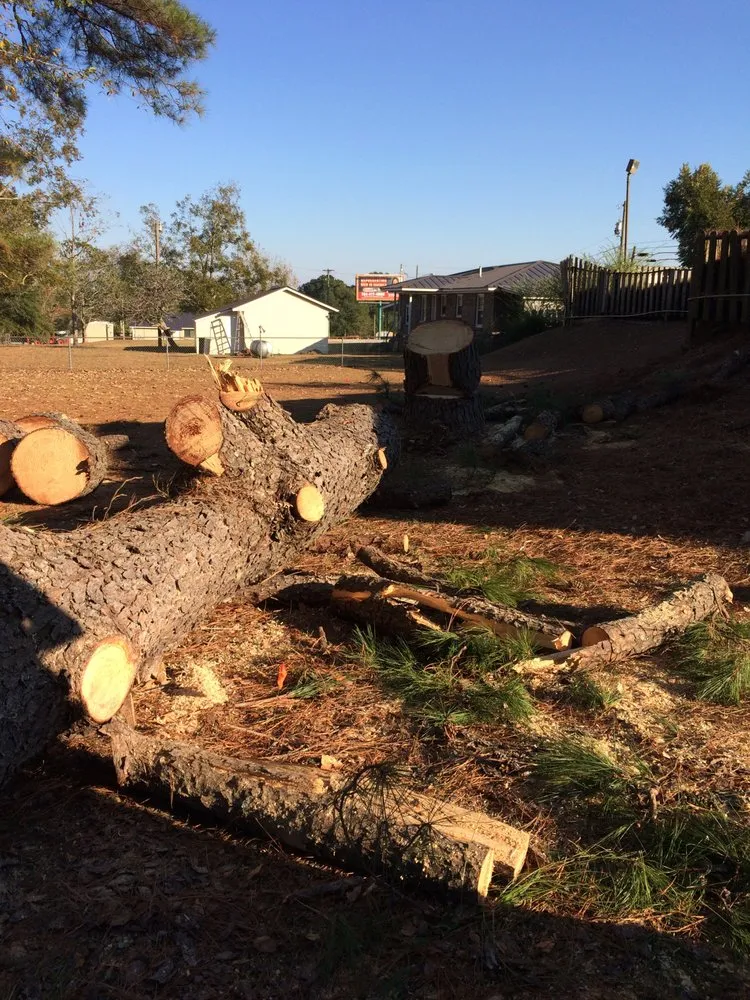 Reliable landscape installation experts serving Enterprise, AL - Bigelow's Tree Service
