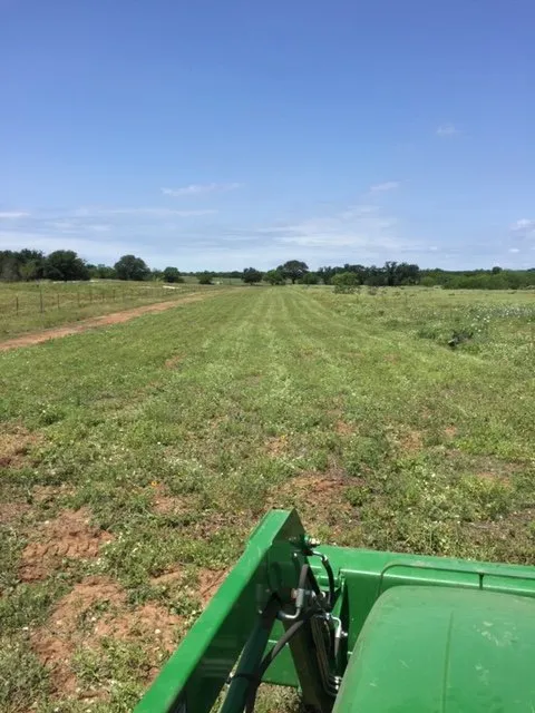 Reliable landscape design in Bigfoot, TX by Bigfoot Brush Busters