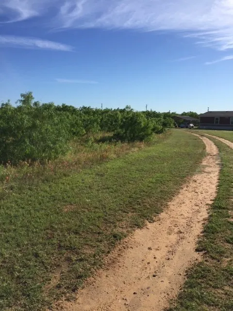 Top-rated landscape installation in Bigfoot, TX - Bigfoot Brush Busters