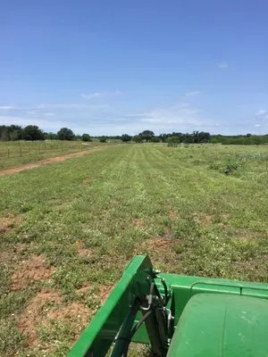 Bigfoot Brush Busters