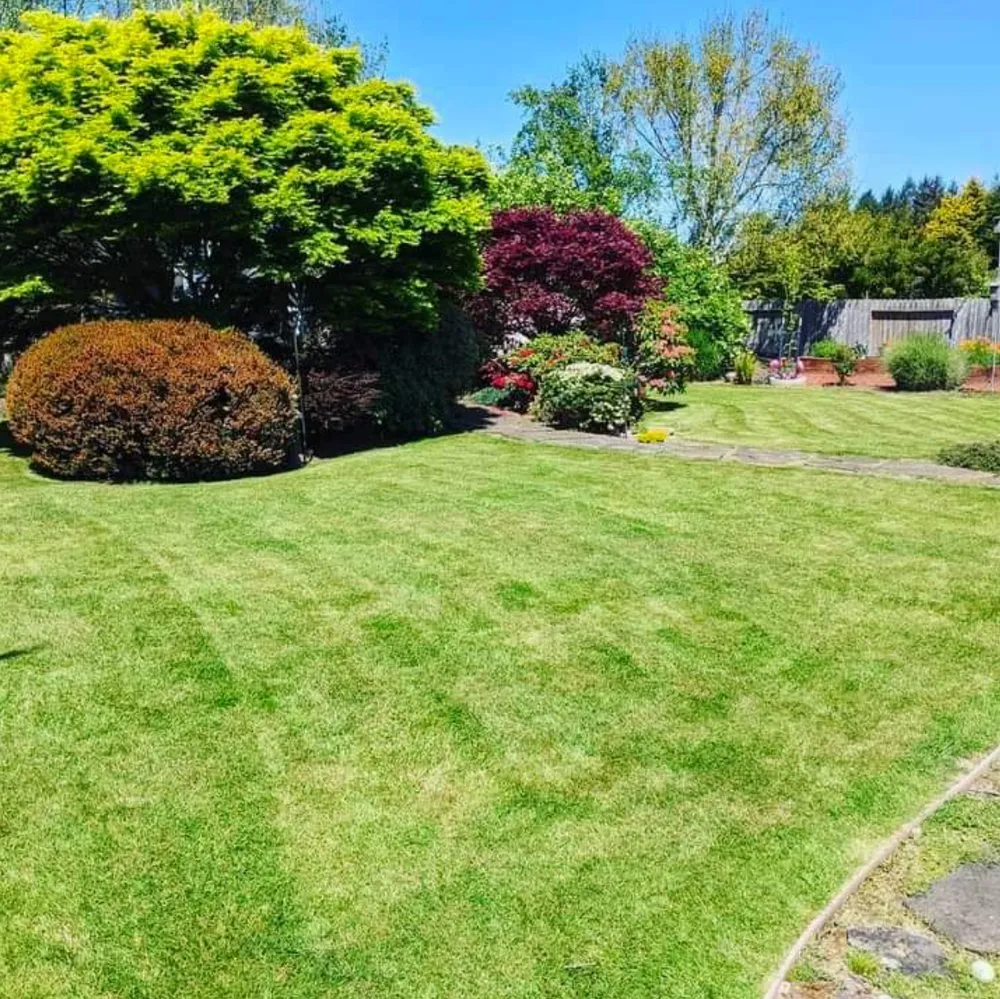 Reliable lawn care service for homes in McKinleyville, CA by Bigfoot Country Lawn Care Plus