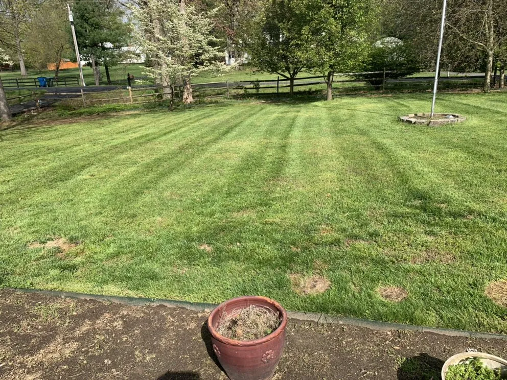 Professional lawn care service for beautiful yards across Marshall, VA - BigFoot Lawn & Landscaping