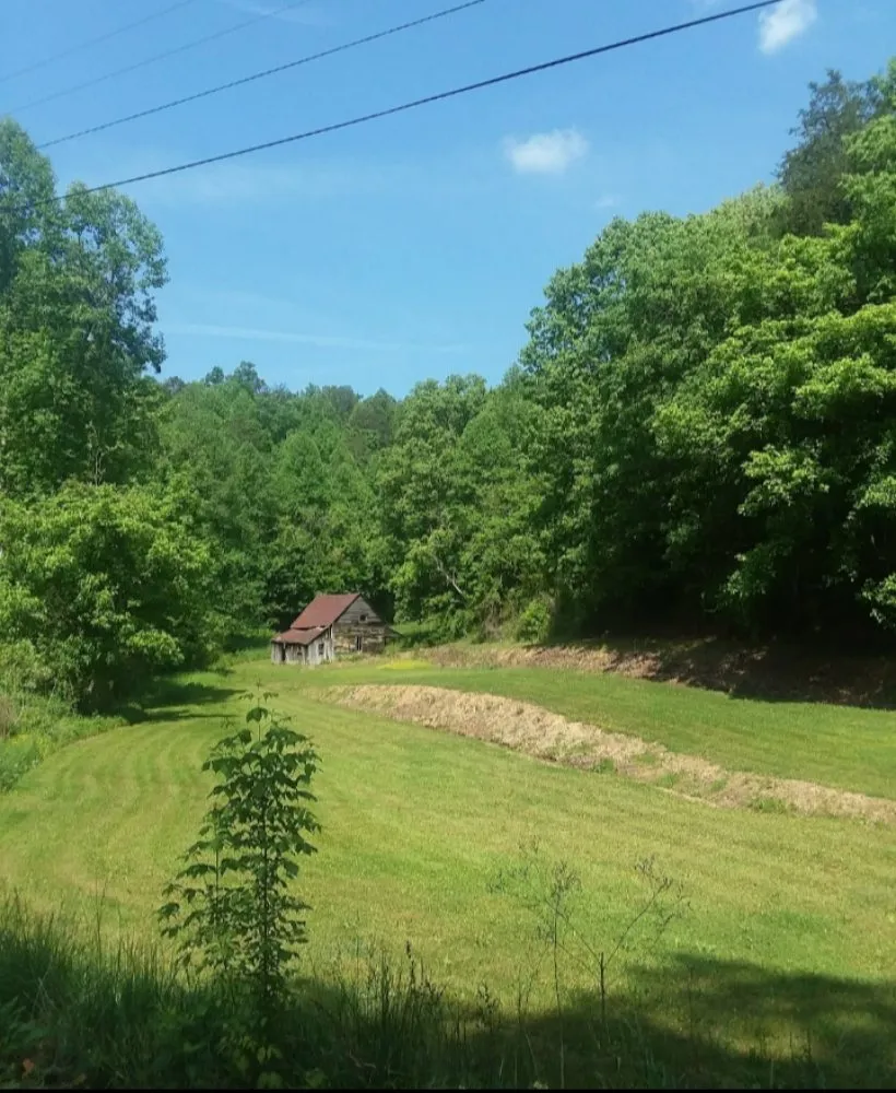 Professional outdoor landscaping experts serving Cape Coral, FL - Bigfoot Lawn and Landscape