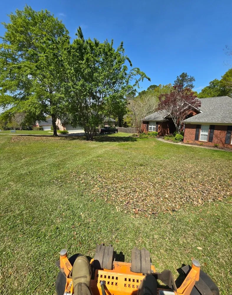 Expert lawn care service in Tallahassee, FL by Bigfoot Lawn Care