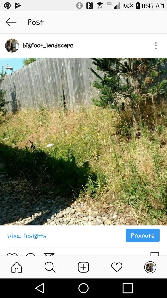 Expert lawn mowing service in Sheridan, OR by Bigfoot Lawn Services