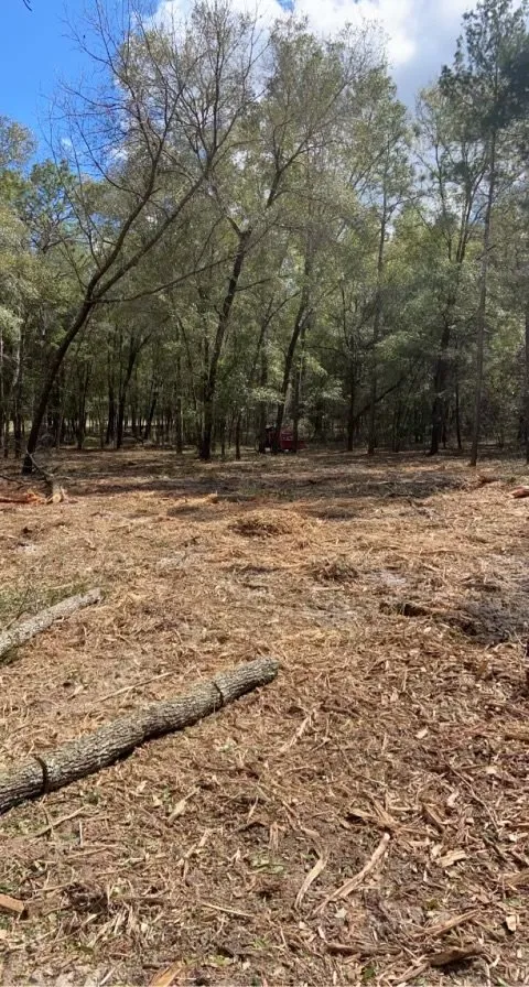 Local yard cleanup service experts serving Melrose, FL - Bigfoot Site Services