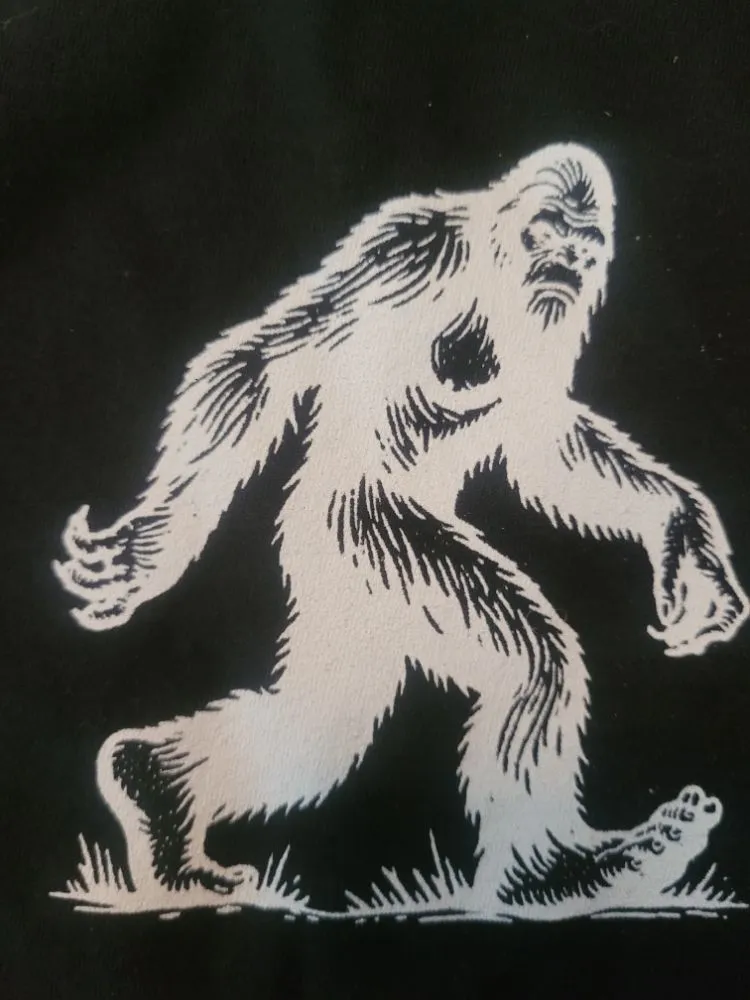 Expert yard maintenance for outdoor upgrades across Westport, WA - Bigfoot Stump and Tractor Backhoe Service