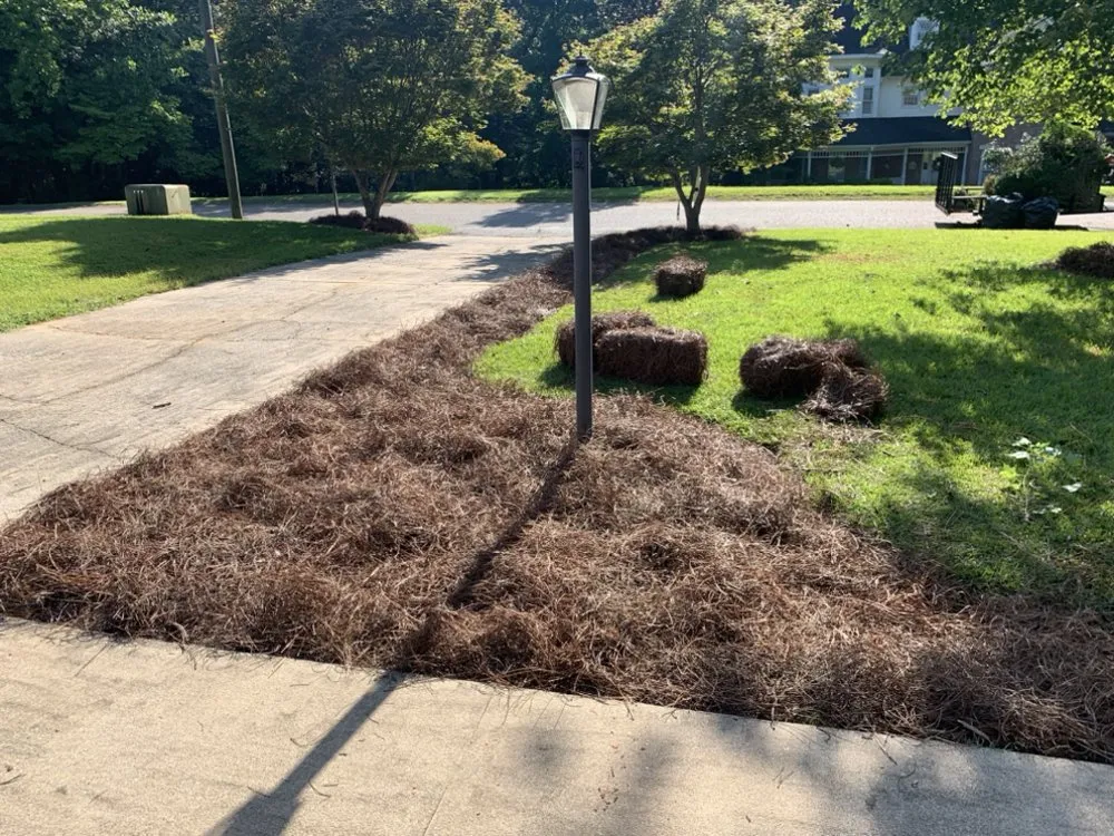 Professional garden landscaping with custom design across Chester, SC - Bigfoot Wines Lawn Care