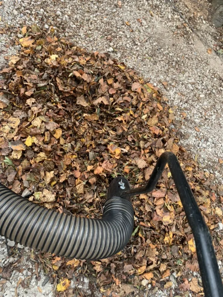 Local yard cleanup service near you across Chester, SC - Bigfoot Wines Lawn Care