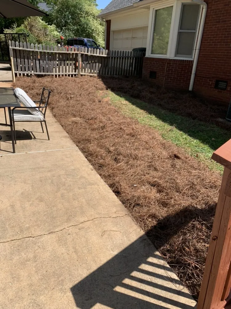 Expert yard maintenance in Chester, SC by Bigfoot Wines Lawn Care