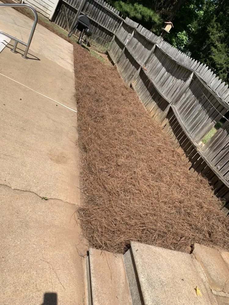 Top-rated residential landscaping for residential properties across Chester, SC - Bigfoot Wines Lawn Care