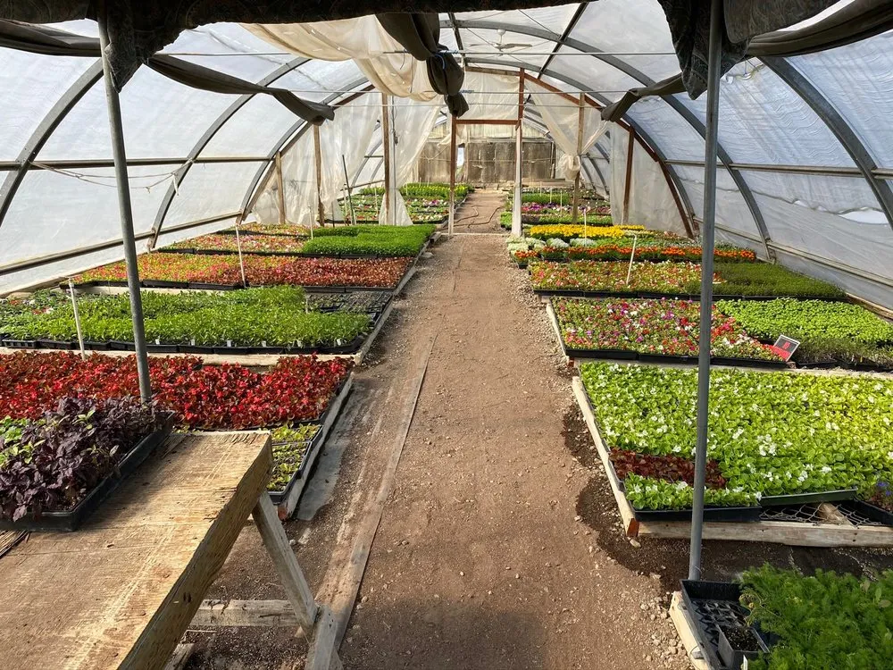 Custom lawn care service for outdoor upgrades in Pleasanton, CA by Bigger Better Plants