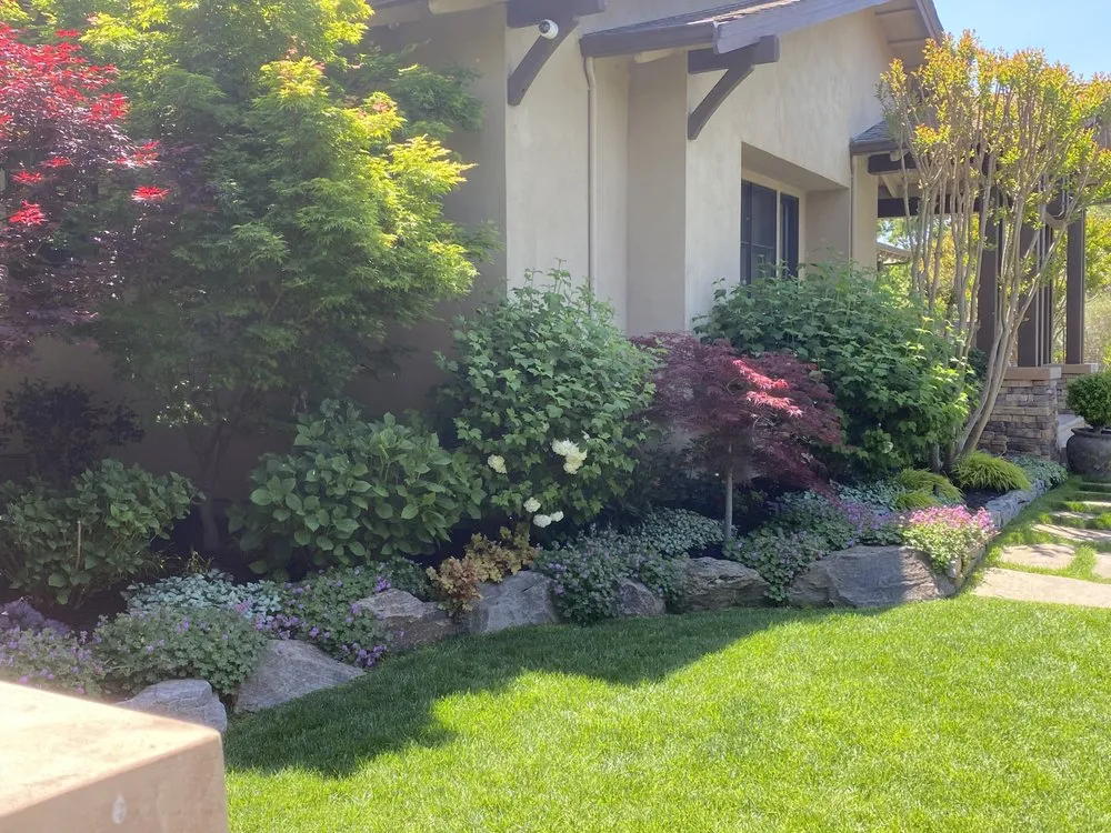 Top-rated landscape installation for year-round maintenance in Pleasanton, CA by Bigger Better Plants