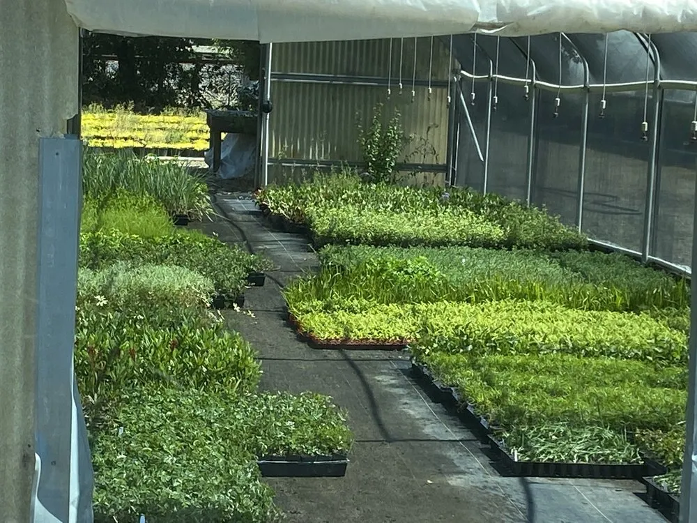 Affordable garden landscaping near you across Pleasanton, CA - Bigger Better Plants