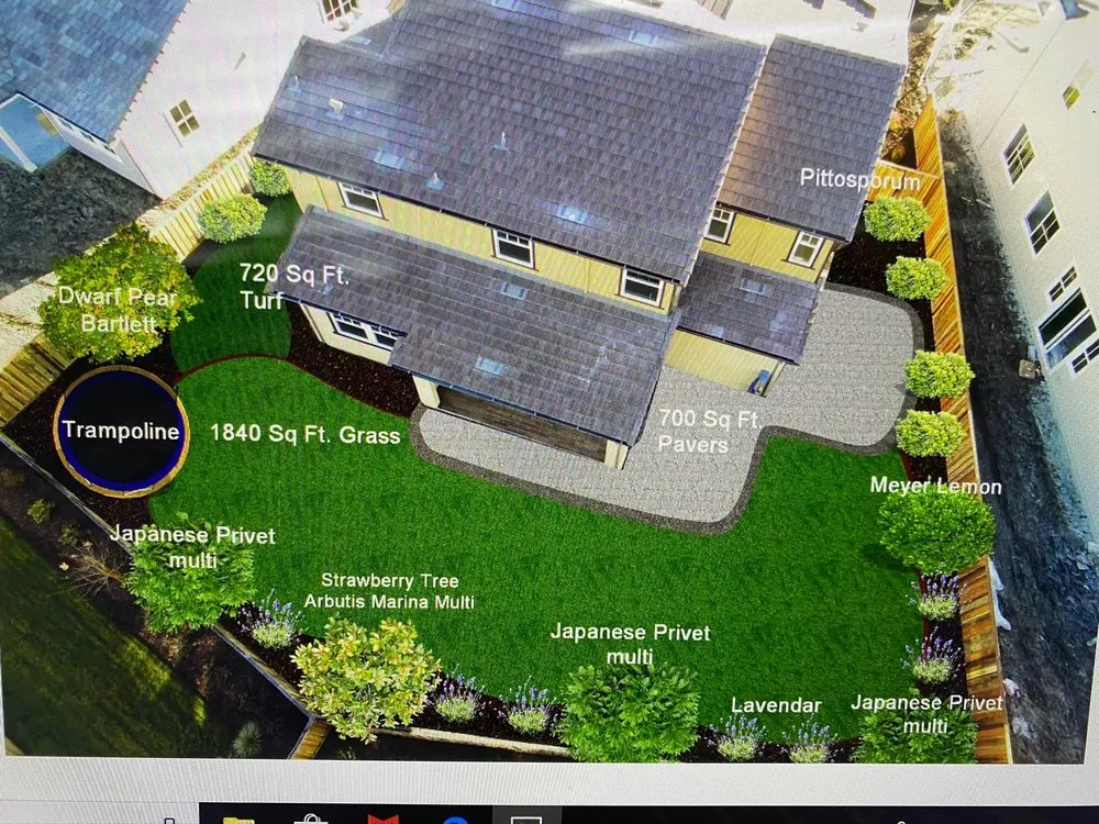 Professional yard maintenance for year-round maintenance in Pleasanton, CA by Bigger Better Plants