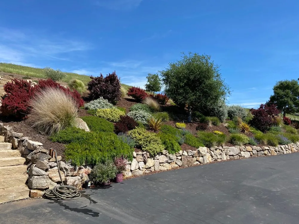 Local yard cleanup service for residential properties across Pleasanton, CA - Bigger Better Plants