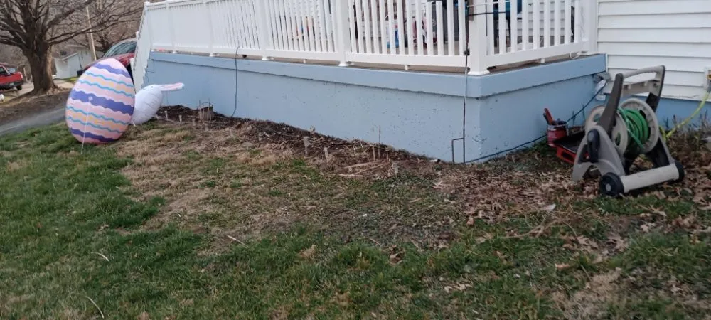 Affordable yard cleanup service for outdoor upgrades across St. Louis, MO - Bigger Vision Bros