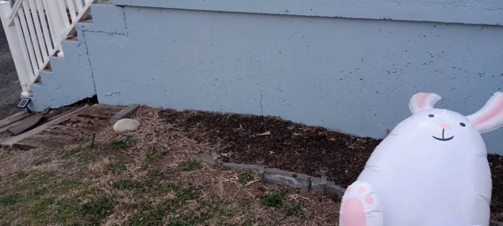 Top-rated lawn mowing service in St. Louis, MO by Bigger Vision Bros