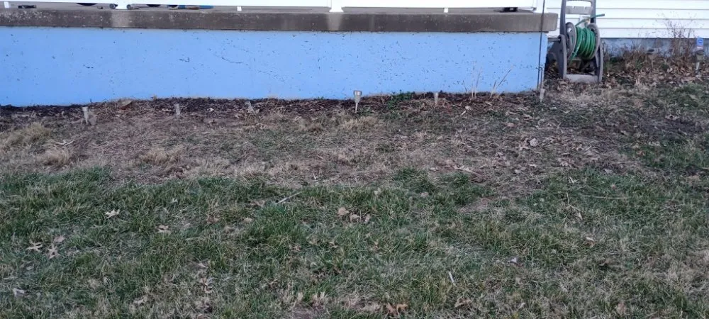 Local landscape installation for year-round maintenance across St. Louis, MO - Bigger Vision Bros