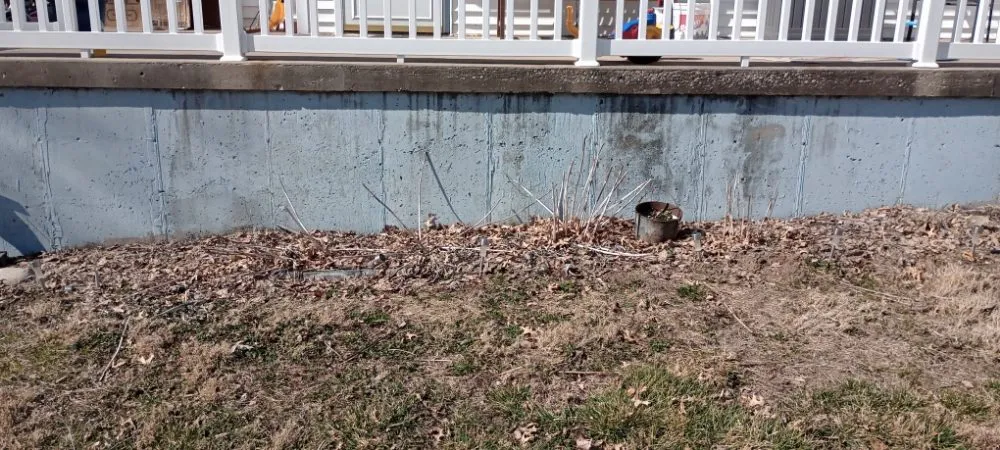 Top-rated landscaping services in St. Louis, MO - Bigger Vision Bros