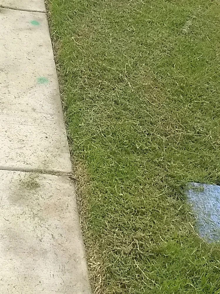 Expert yard maintenance with custom design across Mineola, TX - Biggie's Residential Lawn Care