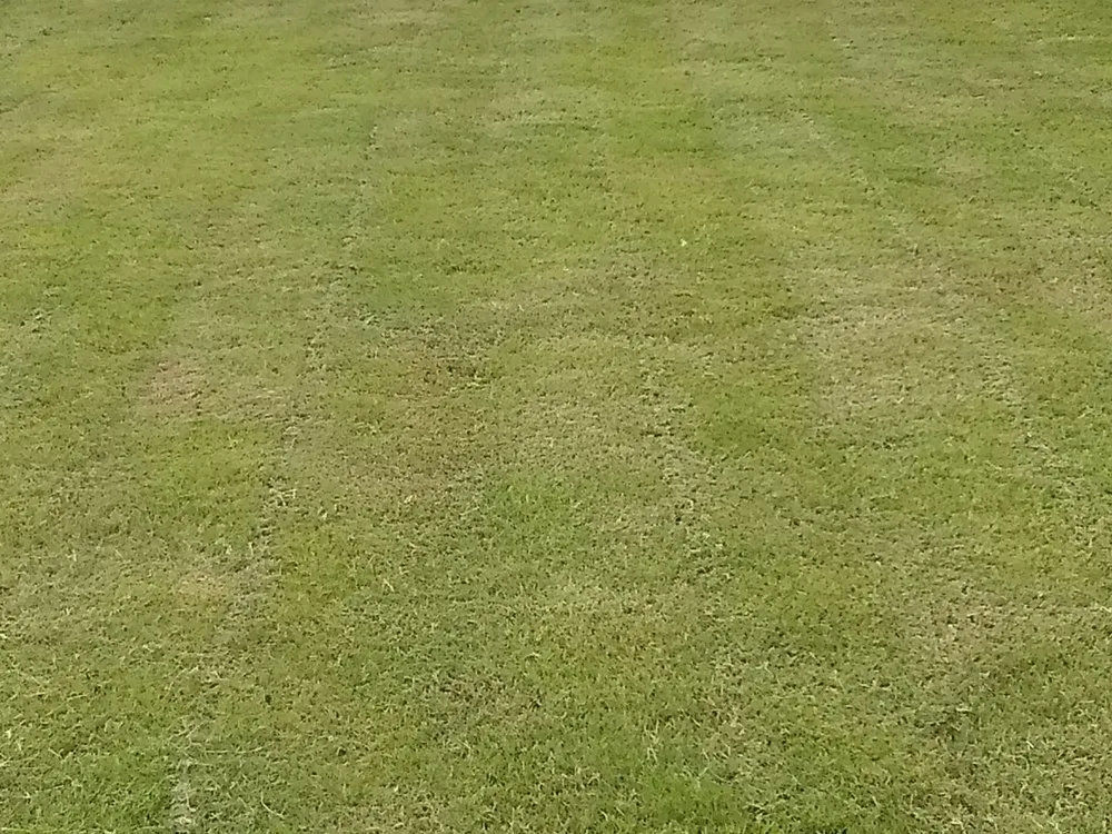 Custom lawn care service with custom design in Mineola, TX by Biggie's Residential Lawn Care