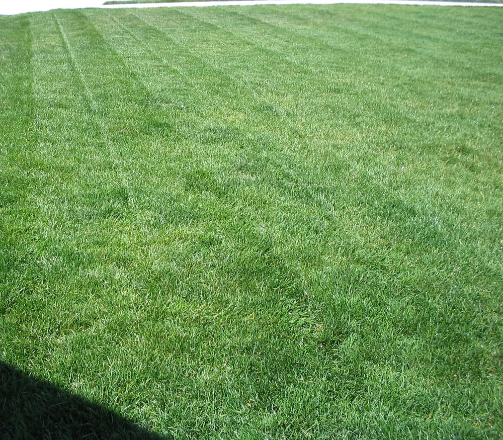 Top-rated landscaping services near you across Lafayette, IN - Biggin Scape