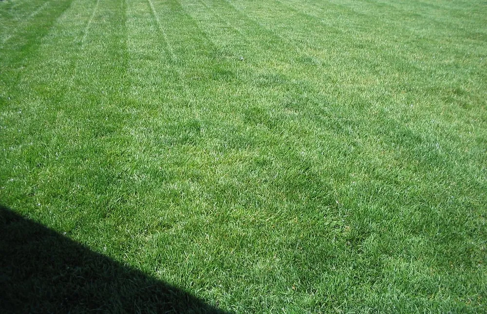 Professional landscaping services experts serving West Lafayette, IN - Biggin Scape