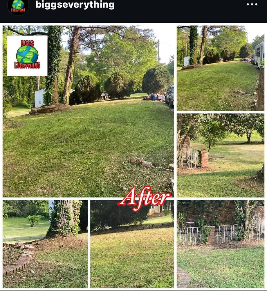Affordable lawn mowing service in Douglasville, GA - Biggs Everything
