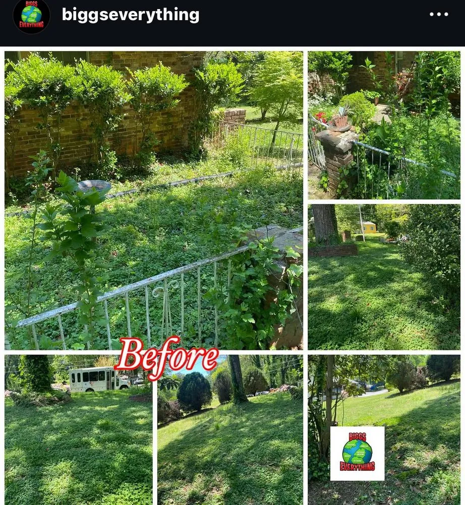 Trusted lawn mowing service in Douglasville, GA by Biggs Everything