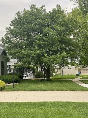 Affordable residential landscaping in Paxton, IL - Biggs Lawn Care