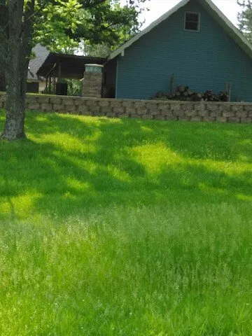 Expert yard cleanup service for year-round maintenance in Paxton, IL by Biggs Lawn Care