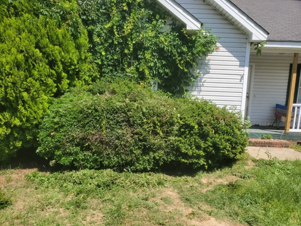 Reliable landscape design for year-round maintenance in Smithfield, NC by Biggs Outdoor Services