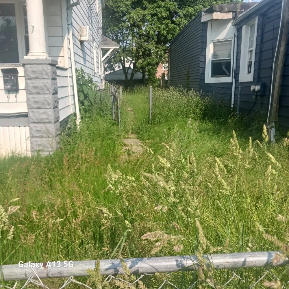 Expert yard maintenance with custom design in Cleveland, OH by Biggs Services