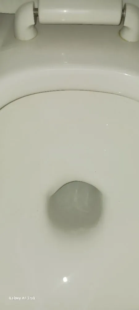 Trusted lawn care service for homes in Cleveland, OH by Biggs Services