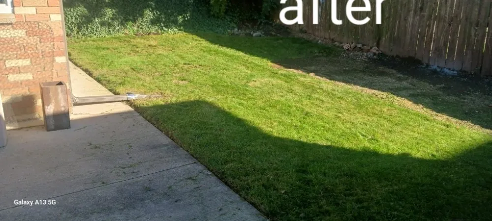 Trusted lawn care service for outdoor upgrades in Cleveland, OH by Biggs Services