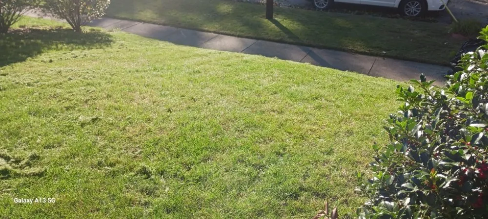 Reliable landscape installation in Cleveland, OH by Biggs Services