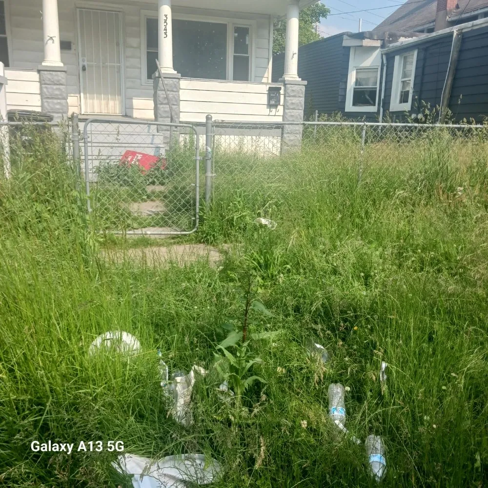 Expert lawn mowing service in Cleveland, OH - Biggs Services