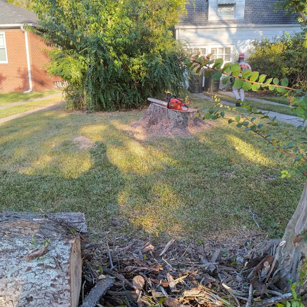 Affordable garden landscaping for outdoor upgrades across Suffolk, VA - BiggStrik3r's Organization