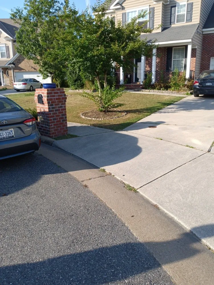 Local landscape installation experts serving Suffolk, VA - BiggStrik3r's Organization