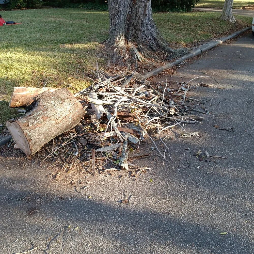 Custom lawn mowing service in Suffolk, VA by BiggStrik3r's Organization