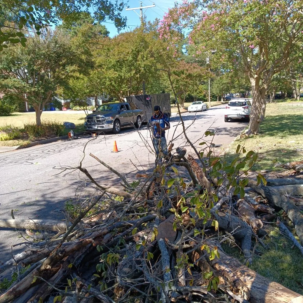 Affordable residential landscaping experts serving Suffolk, VA - BiggStrik3r's Organization