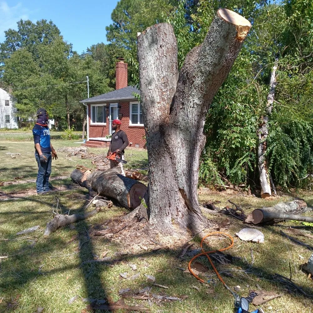 Top-rated garden landscaping experts serving Suffolk, VA - BiggStrik3r's Organization