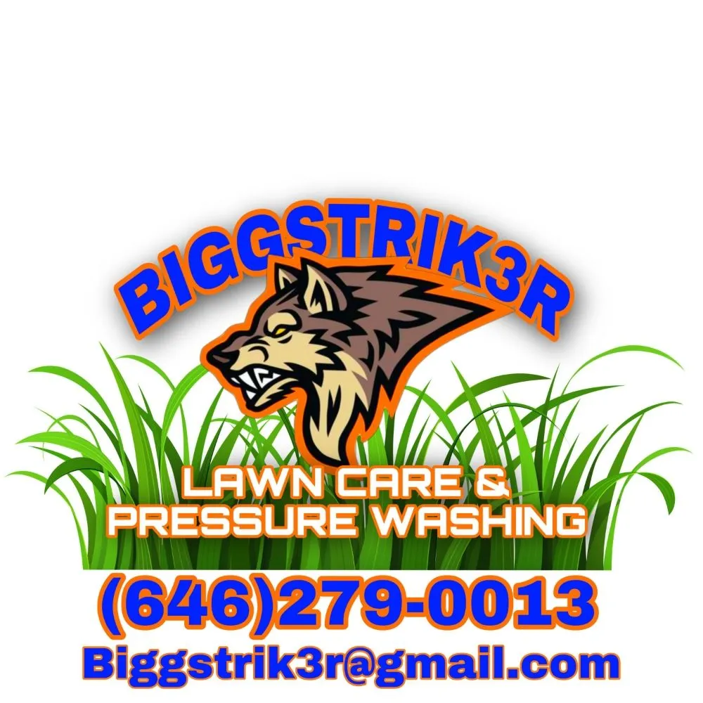 Trusted yard maintenance experts serving Suffolk, VA - BiggStrik3r's Organization