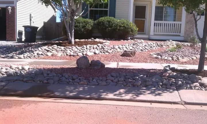 Top-rated yard cleanup service for homes across Littleton, CO - BigHorn Bros